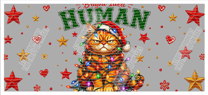 16oz Christmas-J10-3028